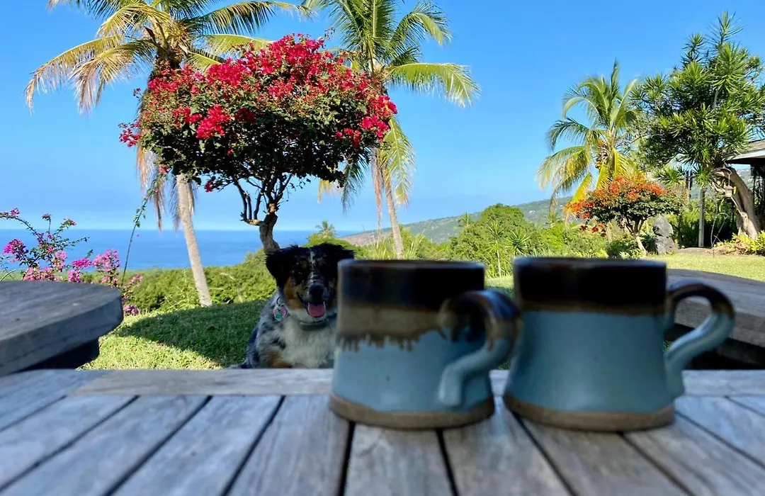 Kona Bayview Inn-1